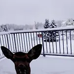 Wiejski Dom W Karkonoszach Appartamento