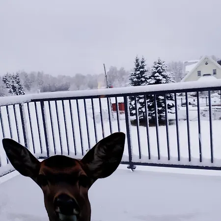 Wiejski Dom W Karkonoszach Apartament