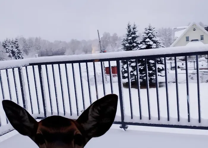 Wiejski Dom W Karkonoszach Apartament